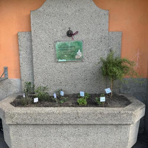 Kräuterbrunnen