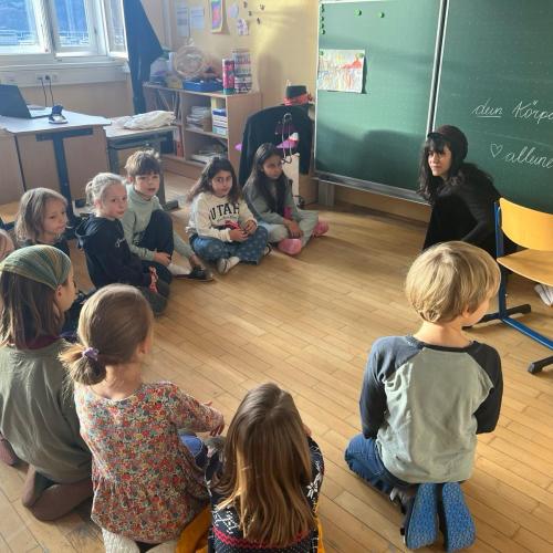 Workshop MEINS