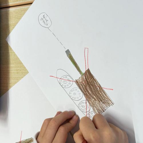 Workshop Schutz