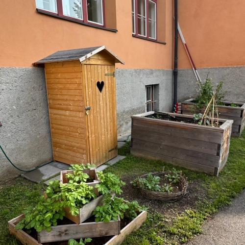 Es gedeiht prächtig!
