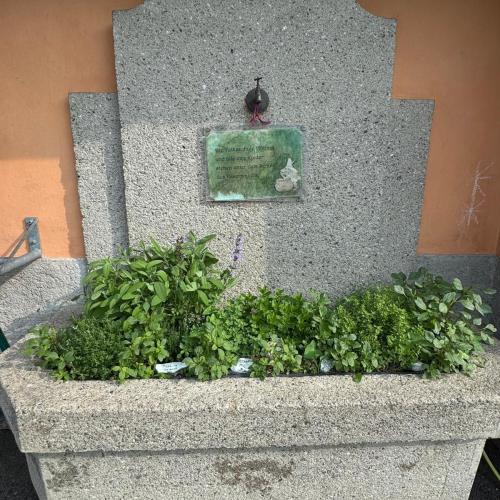Kräuterbrunnen