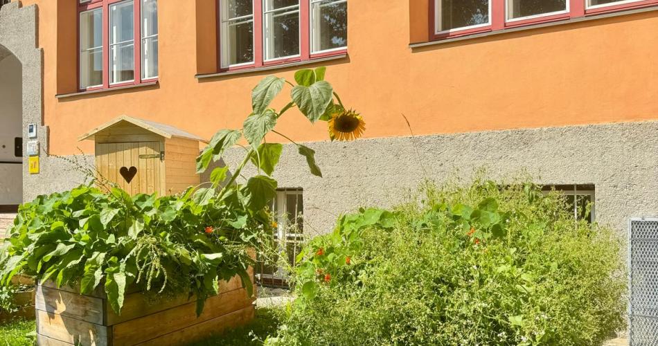 Unsere Hochbeete sind in Höchstform, Schulbeginn 24/25 