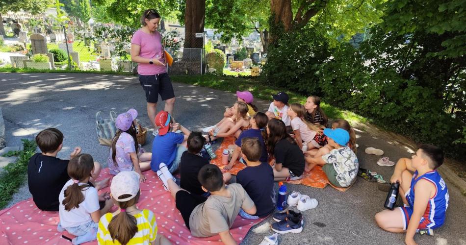 Lesepicknick