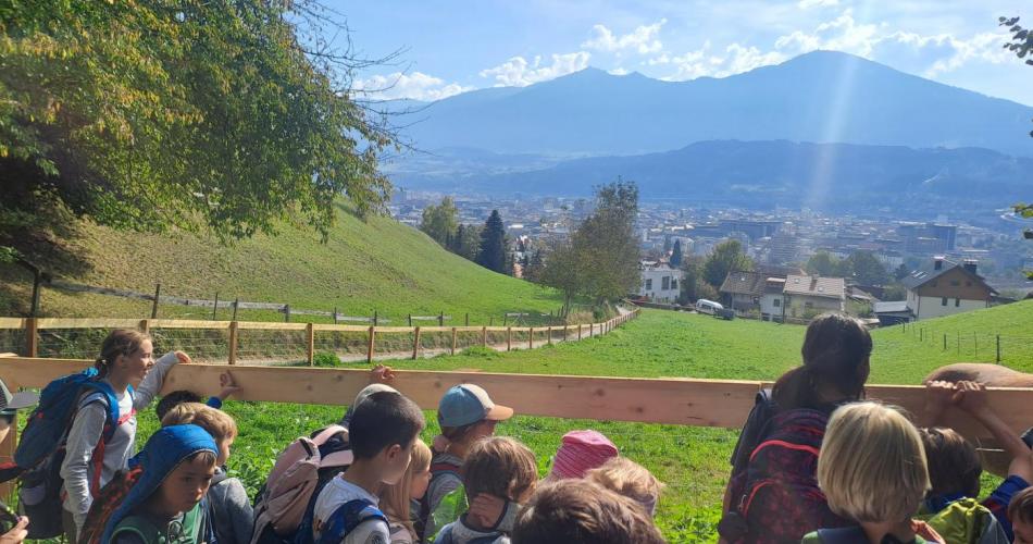 Blick auf die Stadt Innsbruck